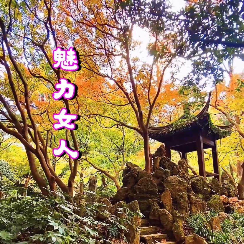 台州魅力女人