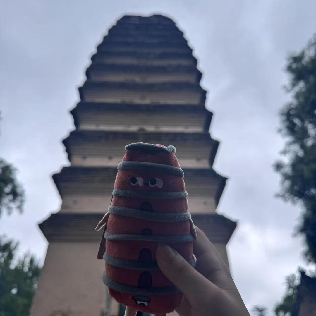 西安旅游订制师青儿