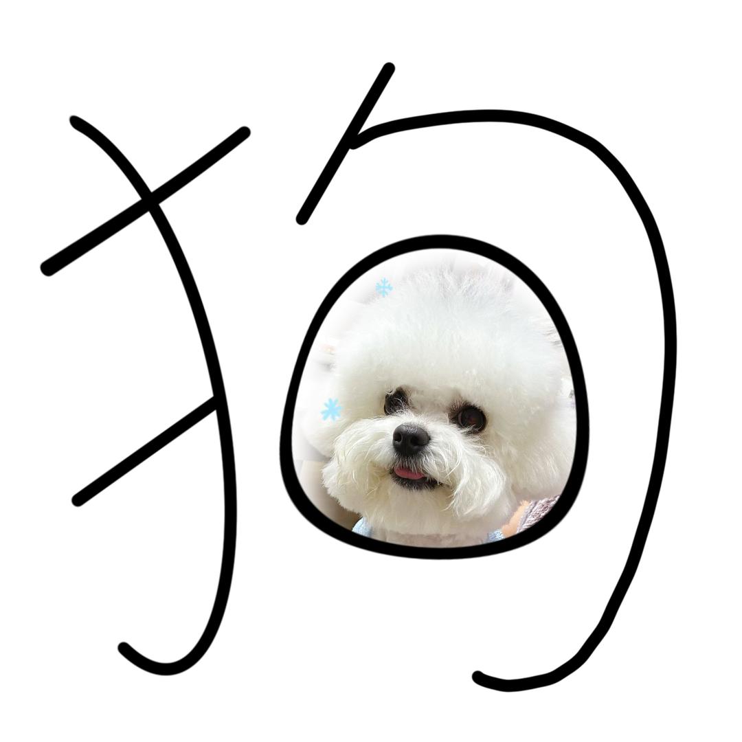 芒果🥭是只小比熊🐶