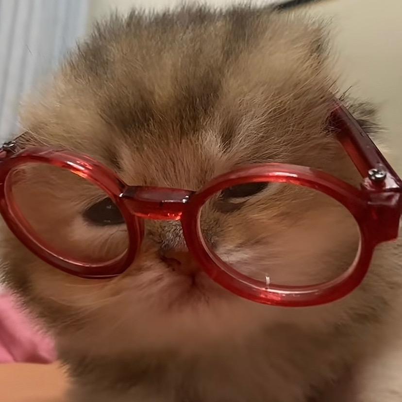 我吃饭的时候不饿