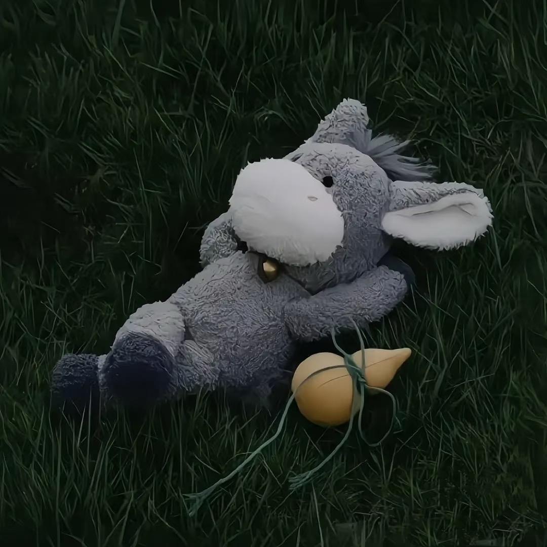 刘阳助眠啦