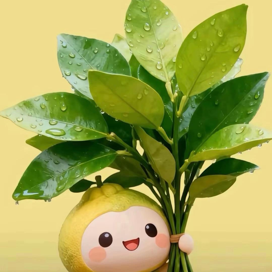 ✨檬檬✨🌈