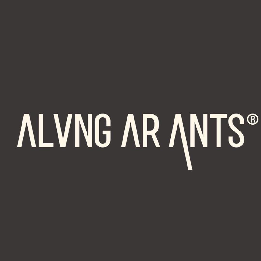 芸蚁ALVNG AR ANTS