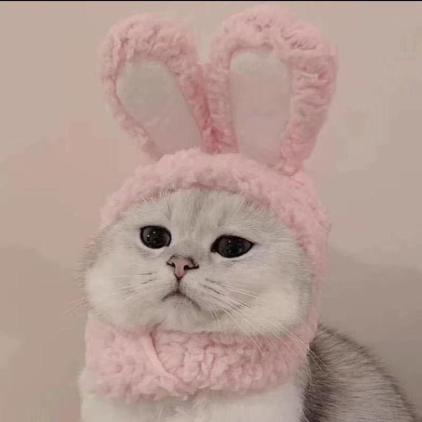R.