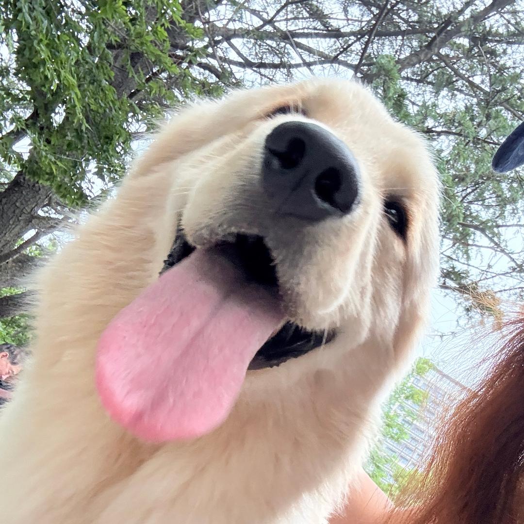 Xinx🧋