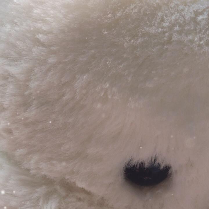 思思（初入版）