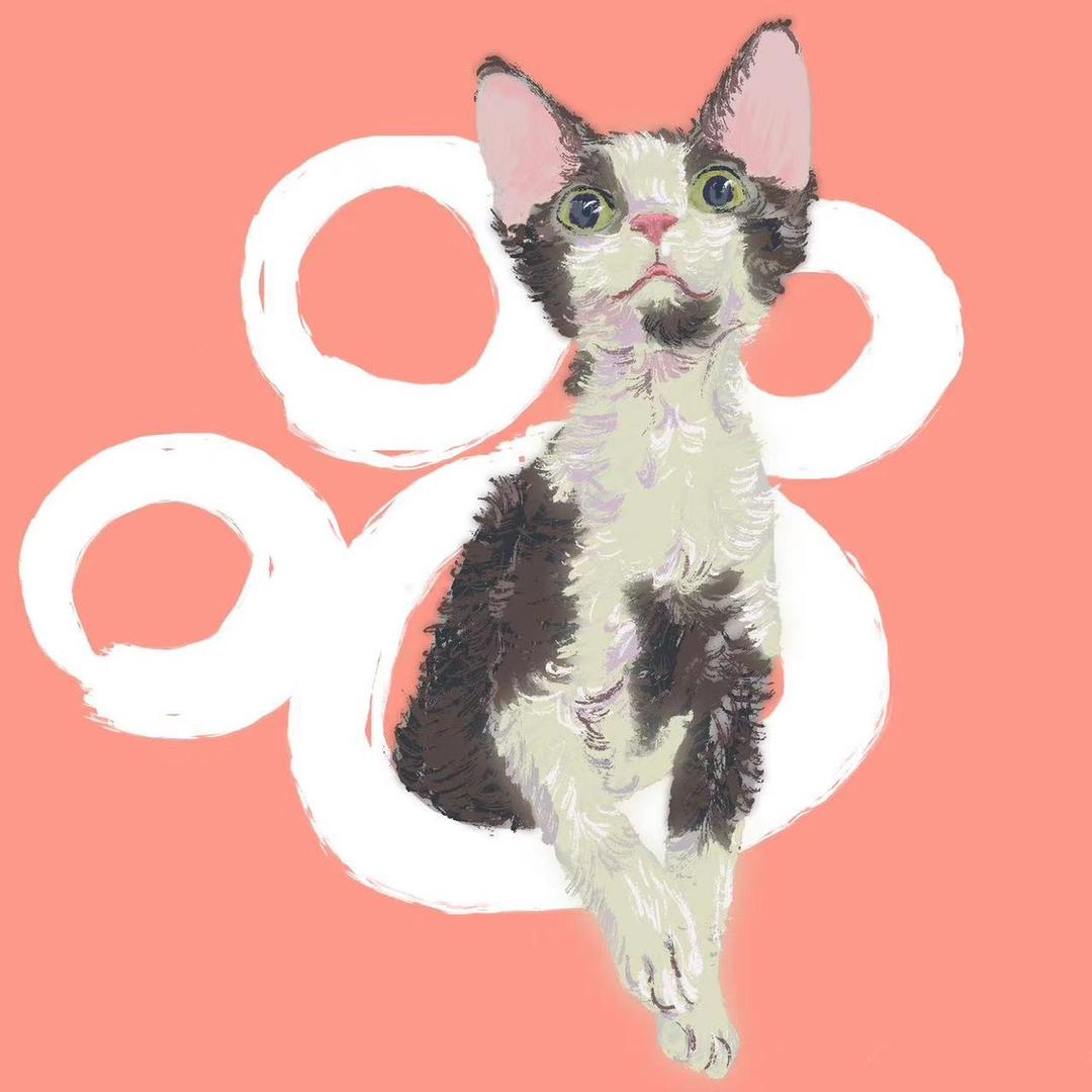 汤姆爸爸(养猫日记)