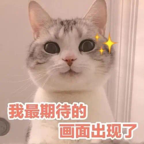 北美家庭仓+尾程物流