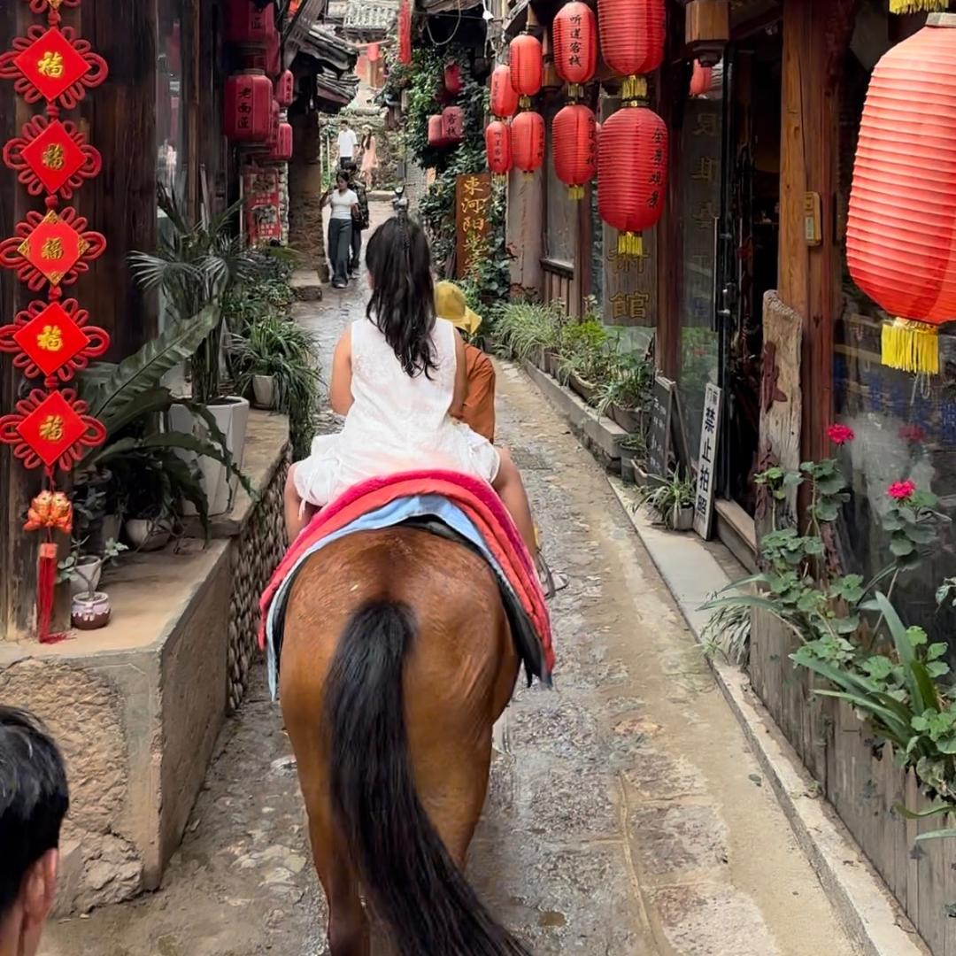 爱学习的🐷小金猪