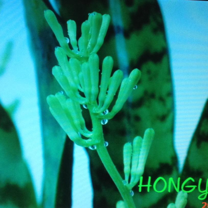 弘溢影视
