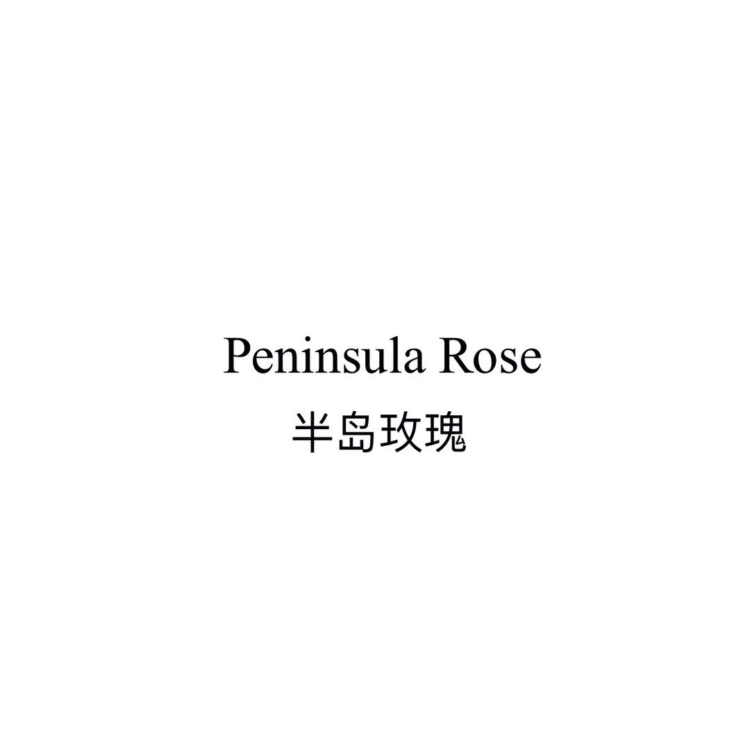 曲阜半岛玫瑰-花礼定制