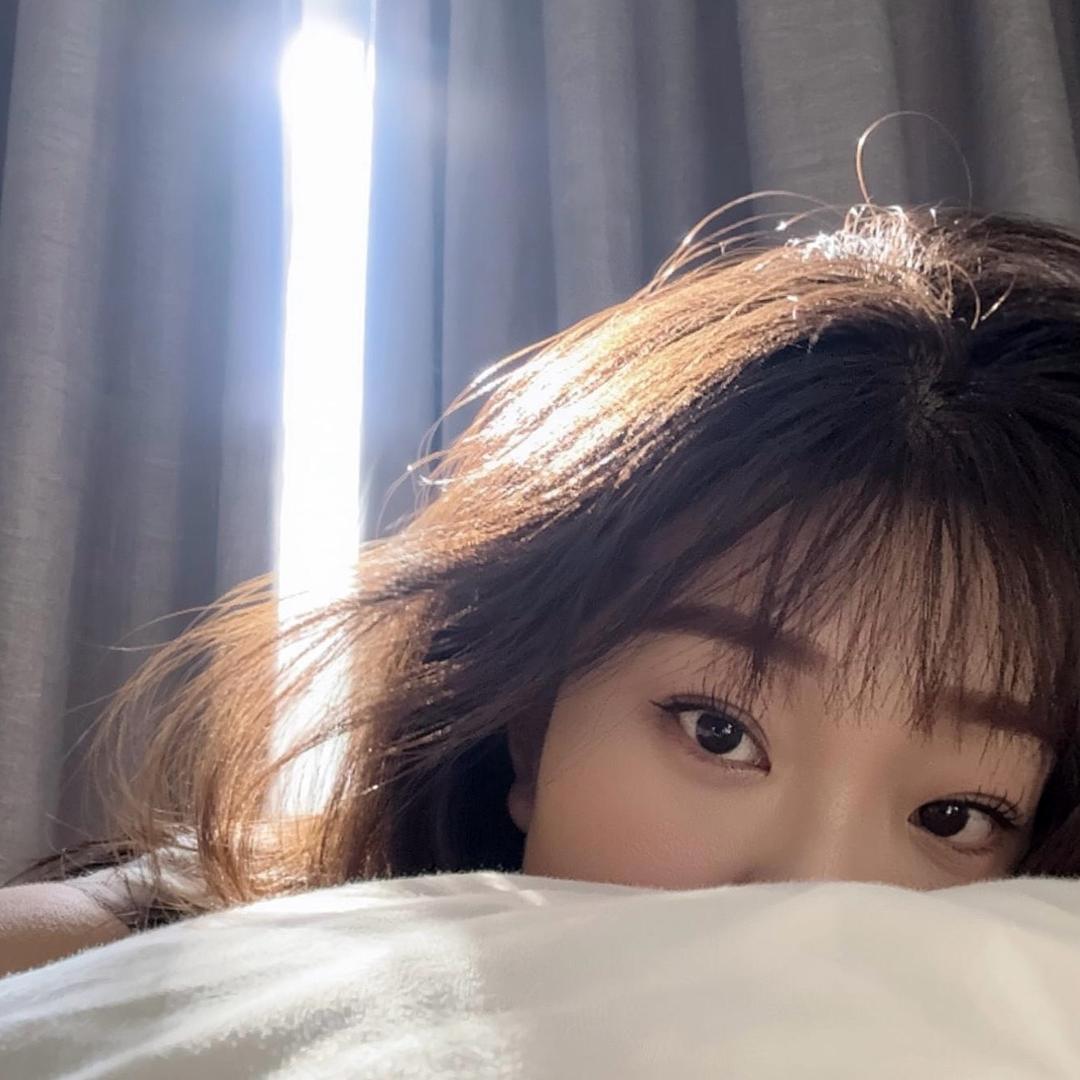 蔓珠莎华🤎
