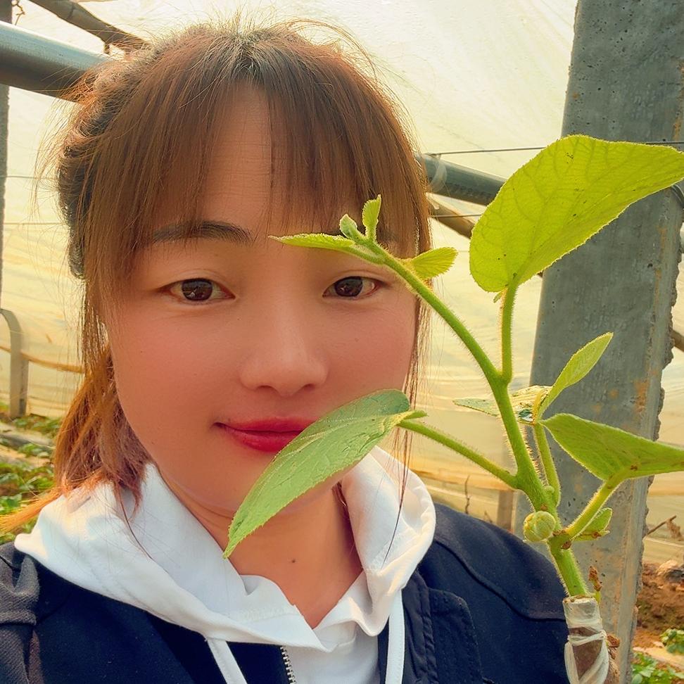 果农侠桃之雨果树苗木专卖店