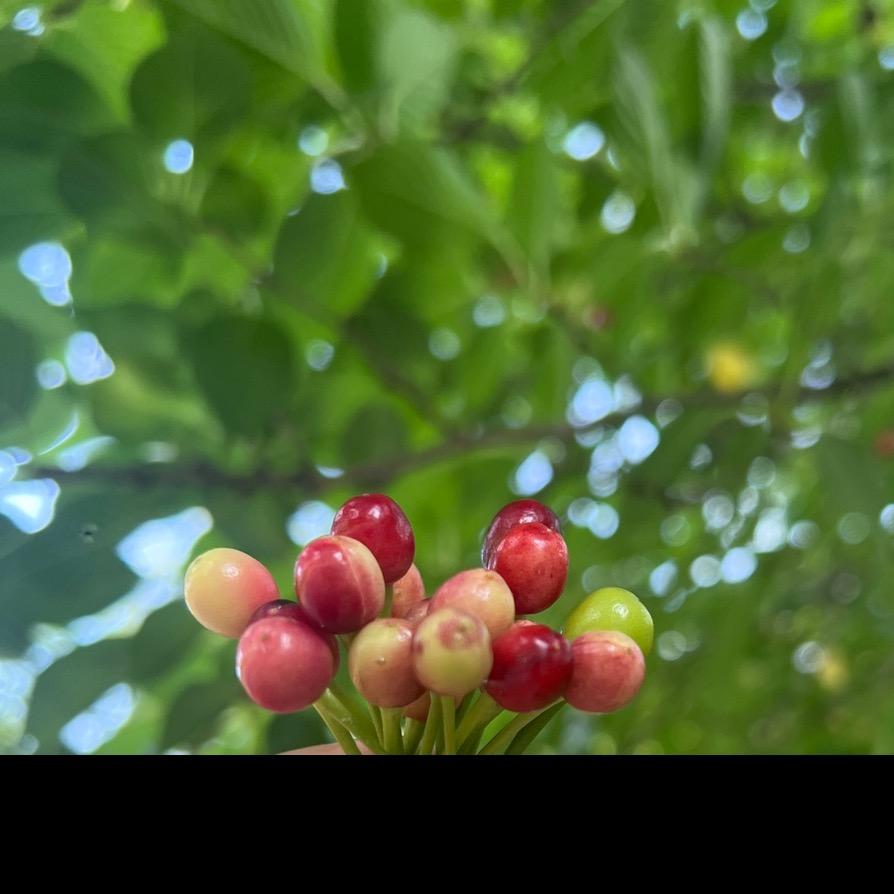 一张不够🥀