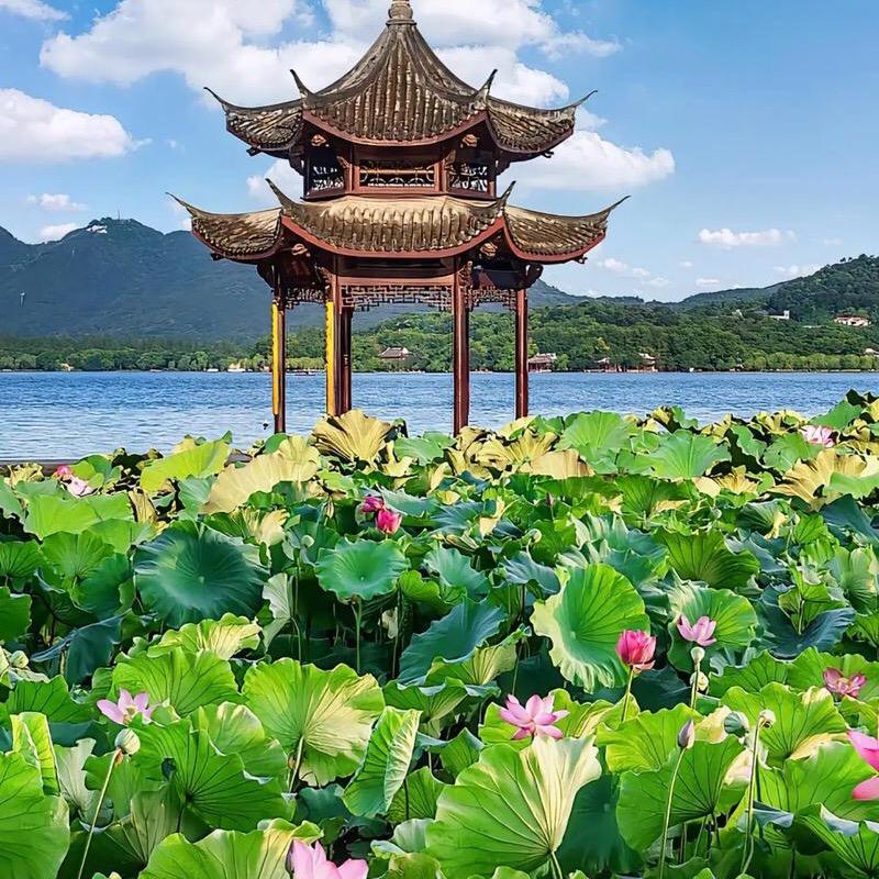 小星星翩翩