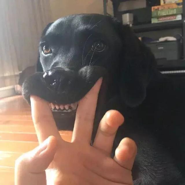 ㅤ     ㅤ ㅤ ㅤ ㅤ ㅤ ㅤ ㅤ