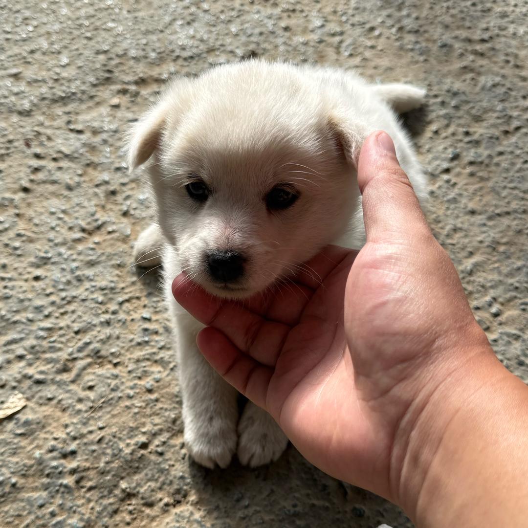 不太正经的农场主🧑‍🌾