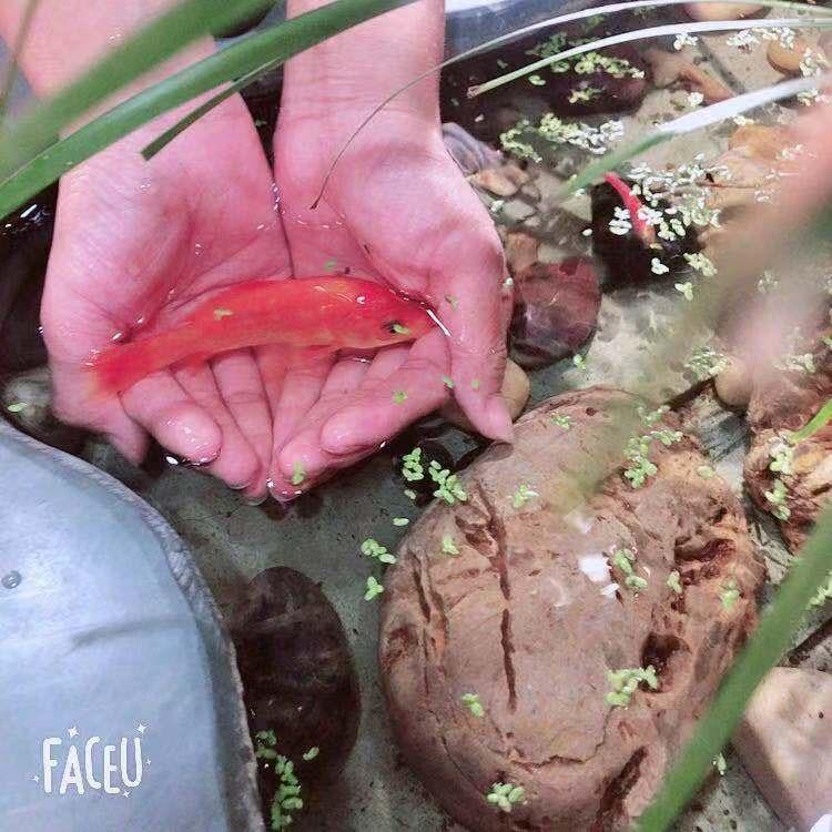 ⍣༊࿆ 小曦曦ོྂཾ࿆࿐