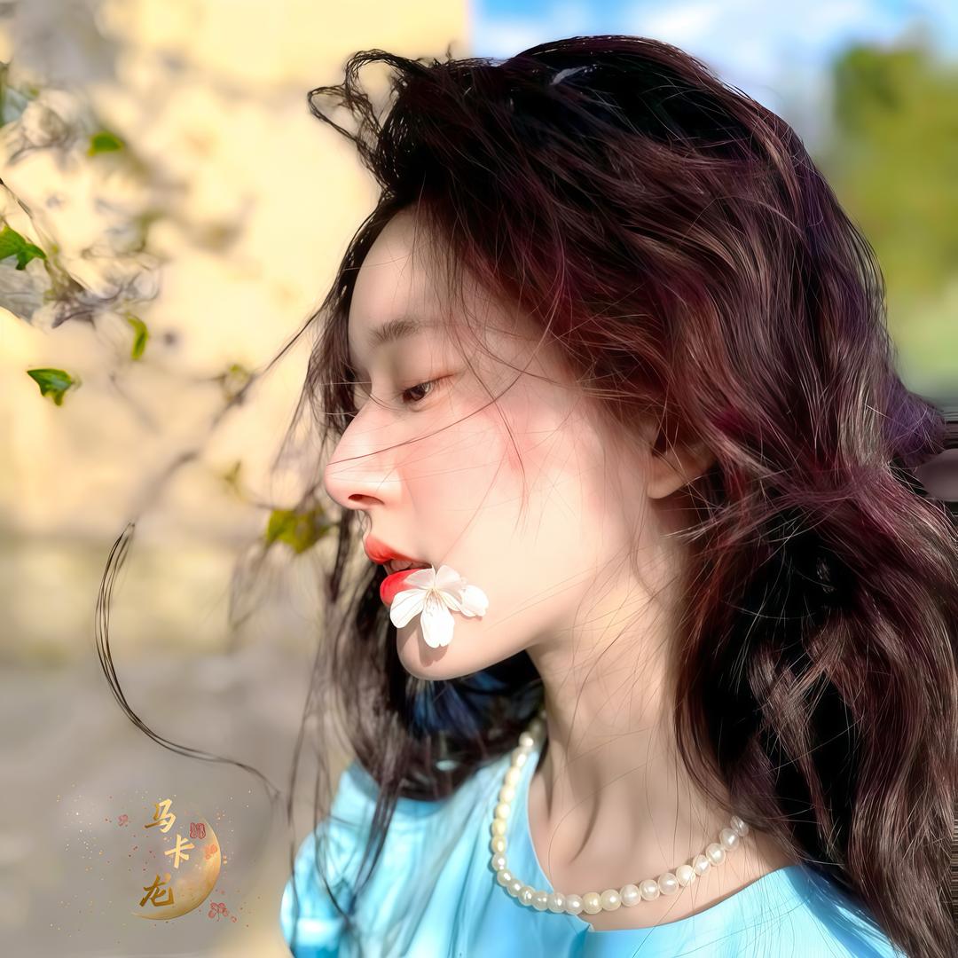 马卡龙见过（赵露思版本）