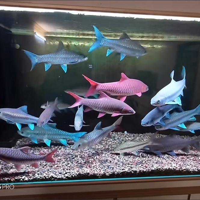 湿地商贸中心芬