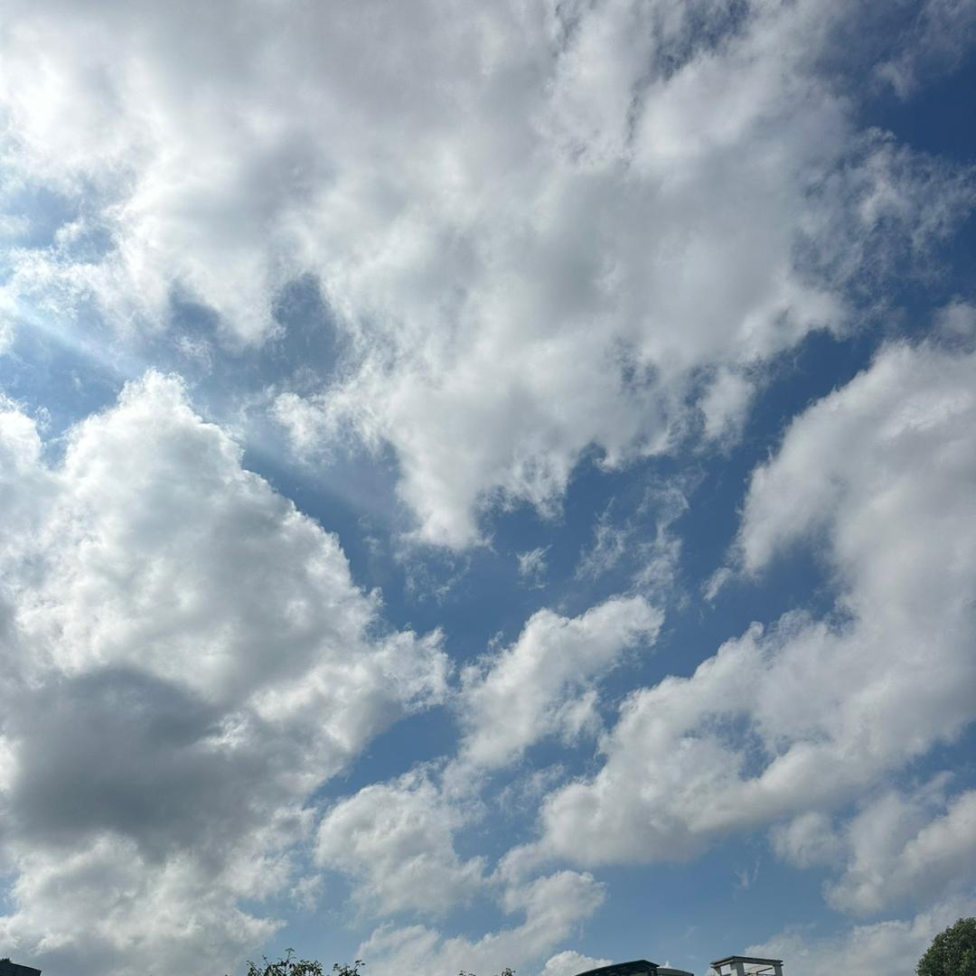 @广州陈先生