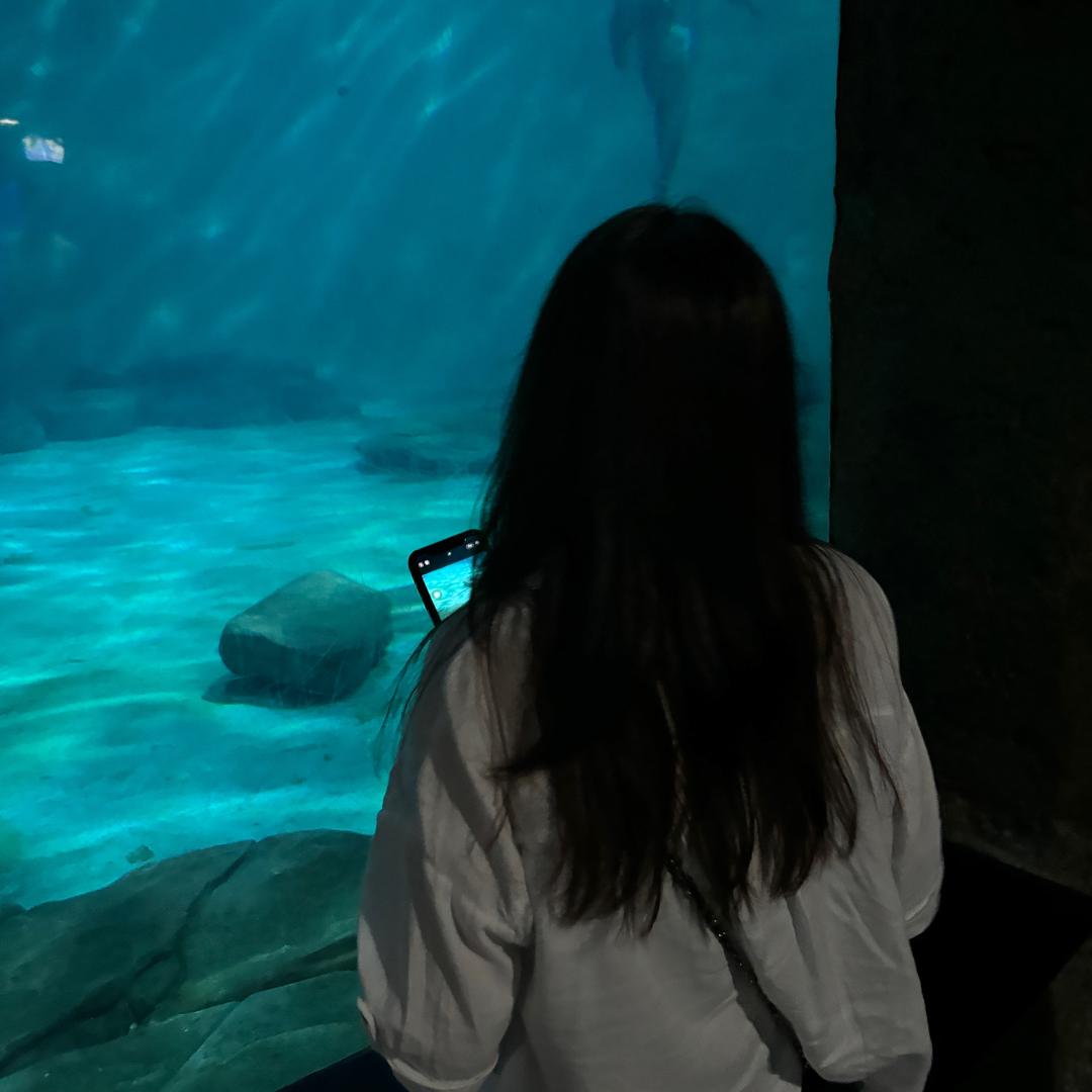 歡喜。