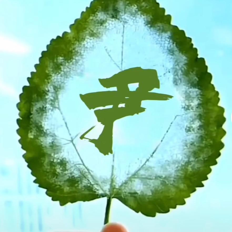 辉哥