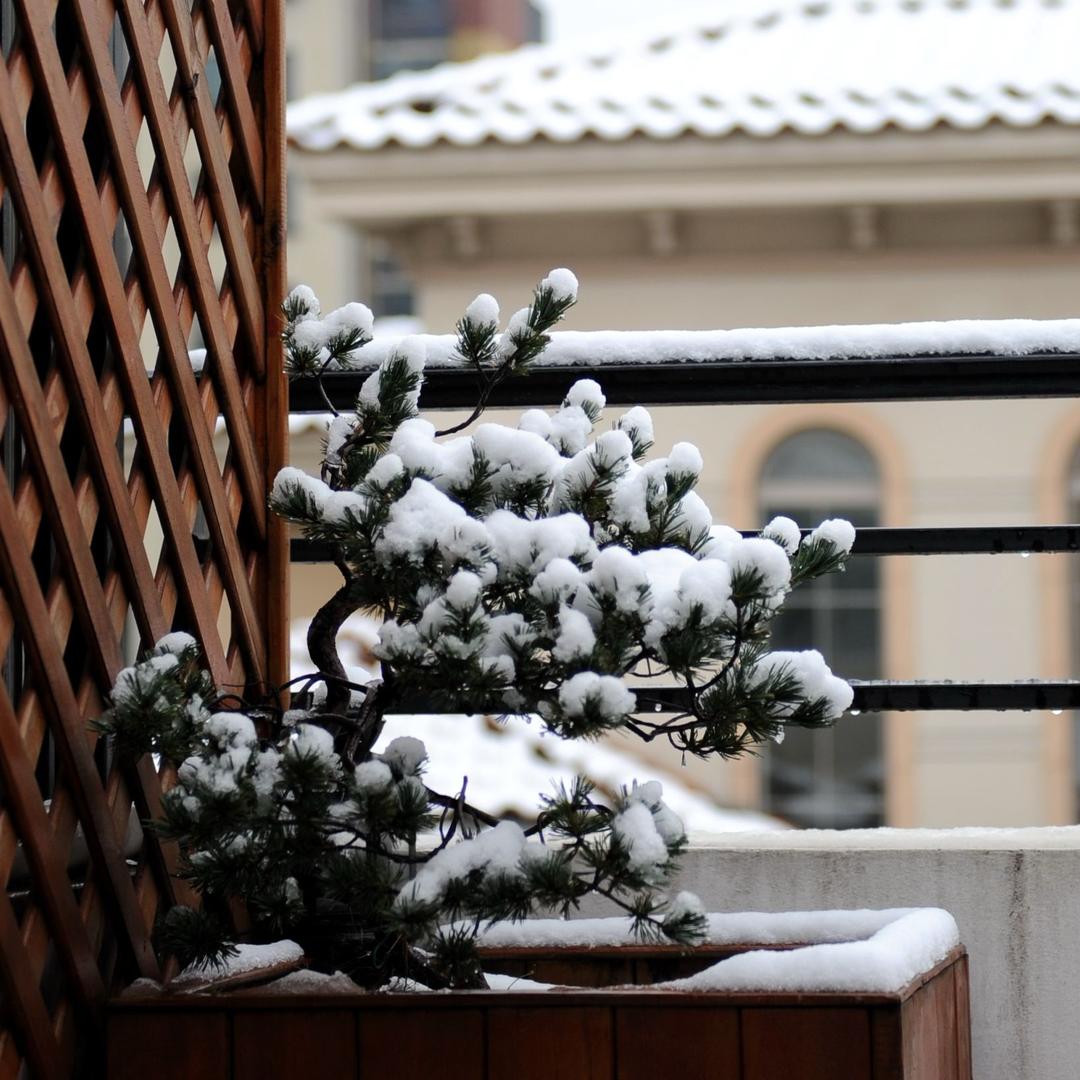 一人做事一人当，当当做事当当当