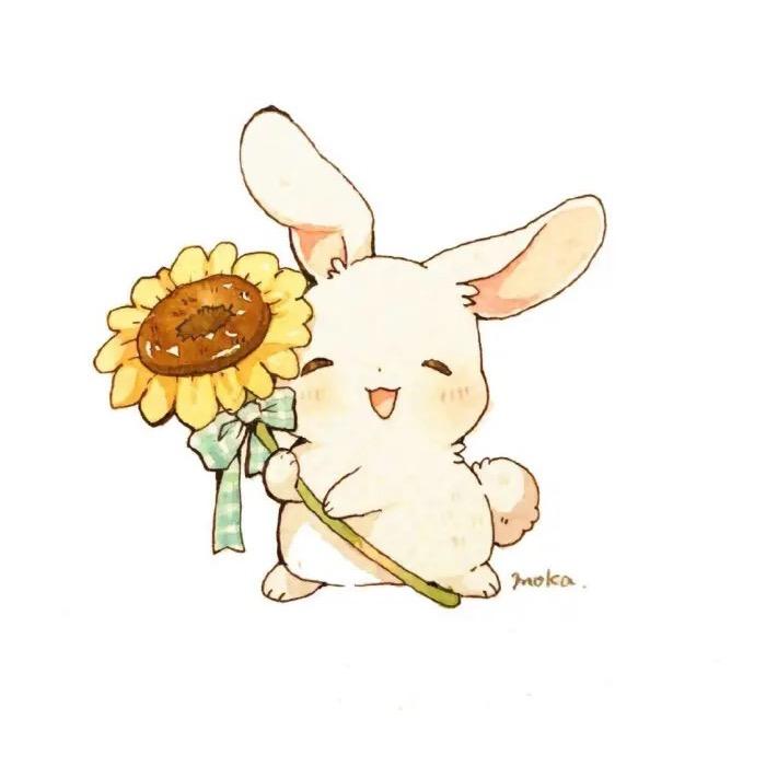 so`nice