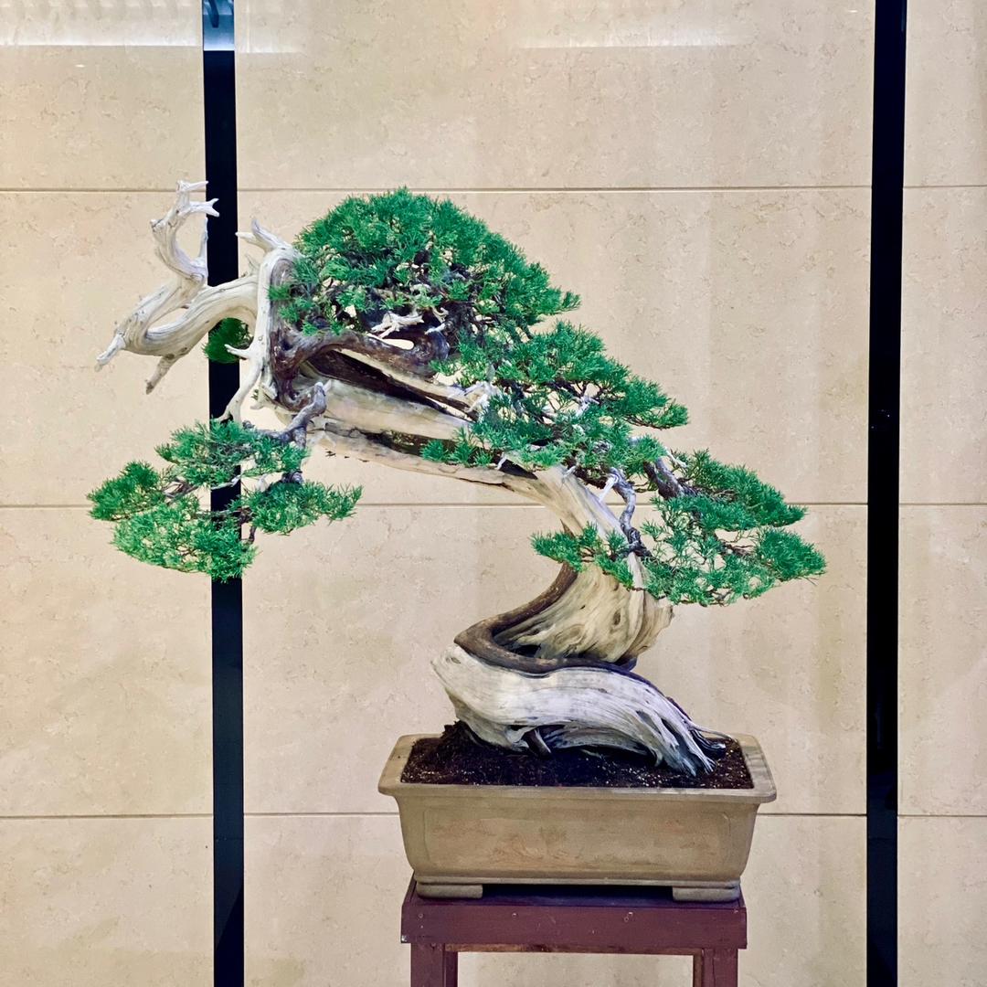 天三星无纺
