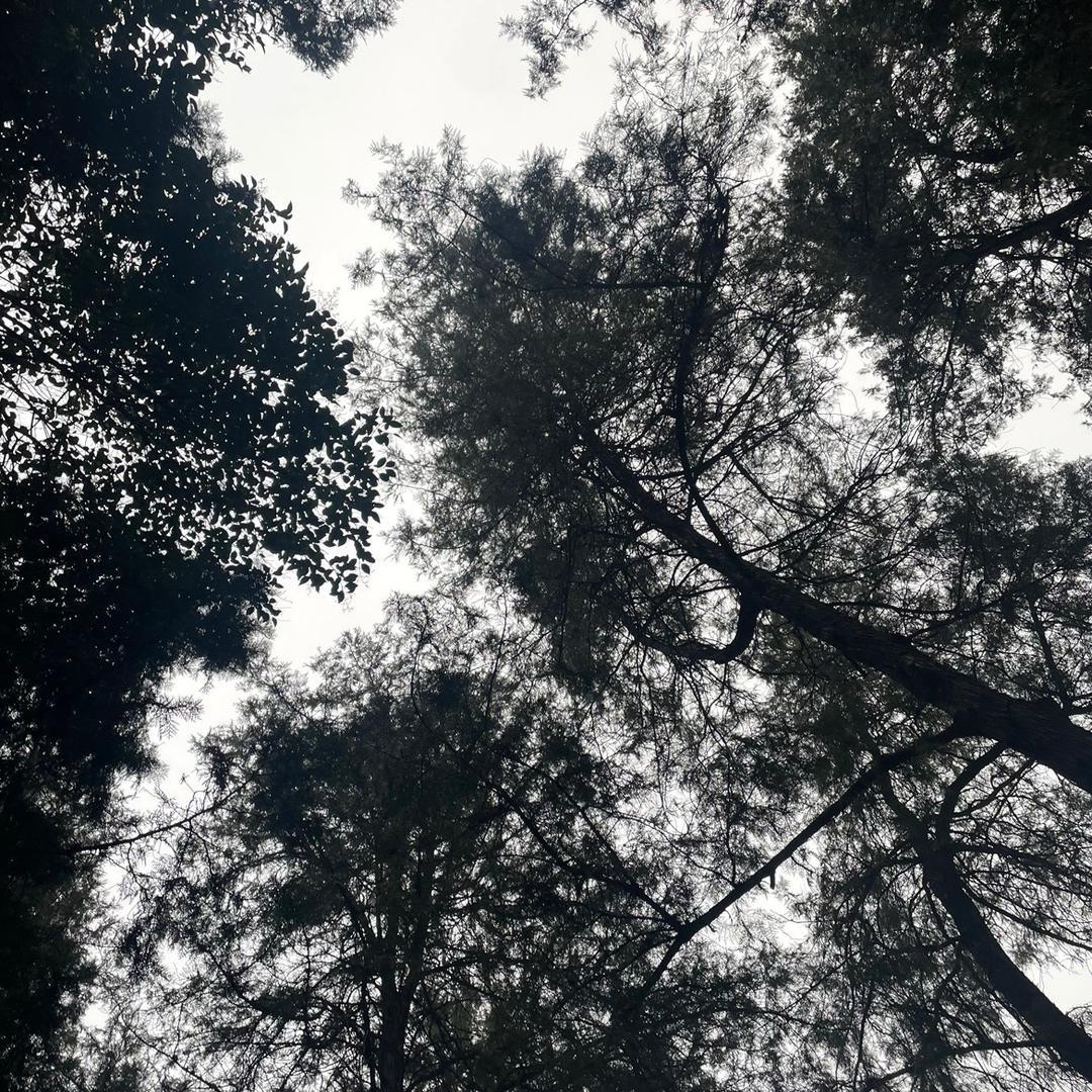 坩末湿