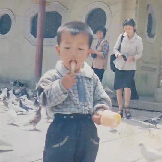 武略略略