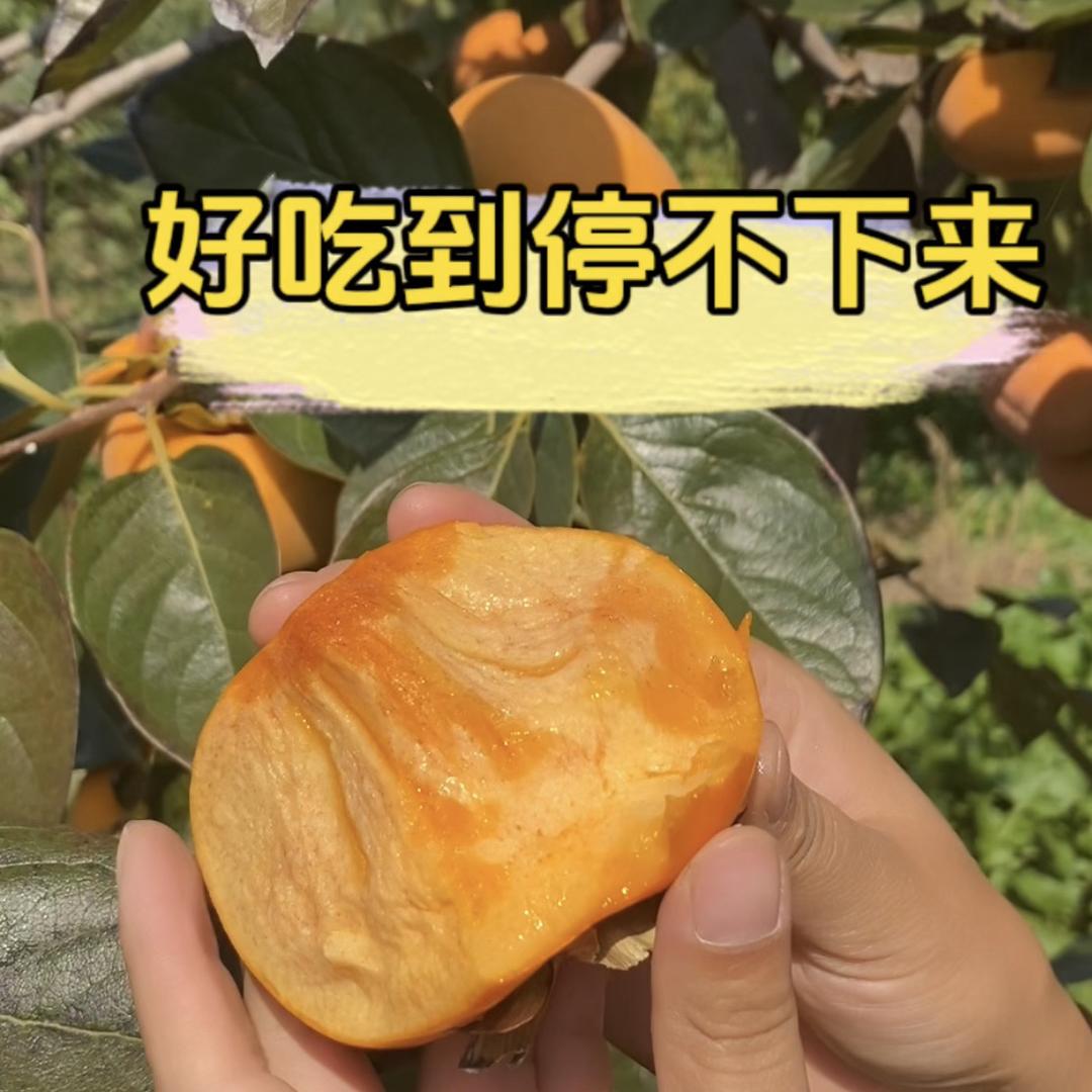 刘小妹果园
