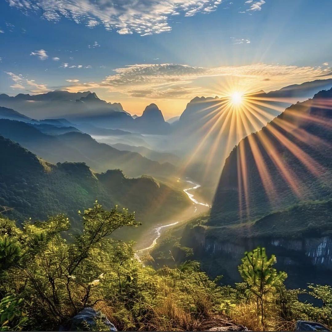 🌈吃饭用桶“庄”先生