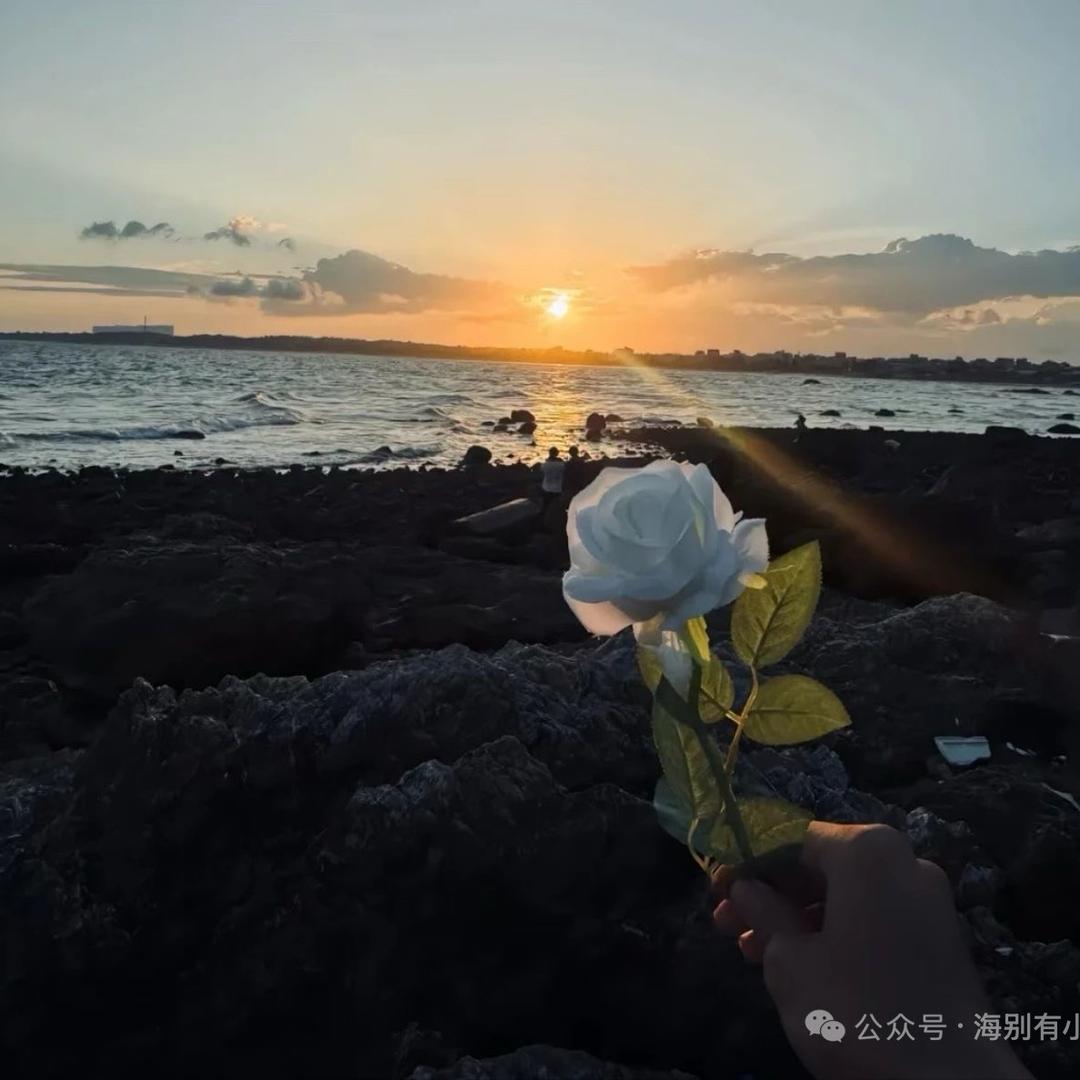 ㅤㅤㅤㅤㅤㅤㅤㅤㅤㅤ C.