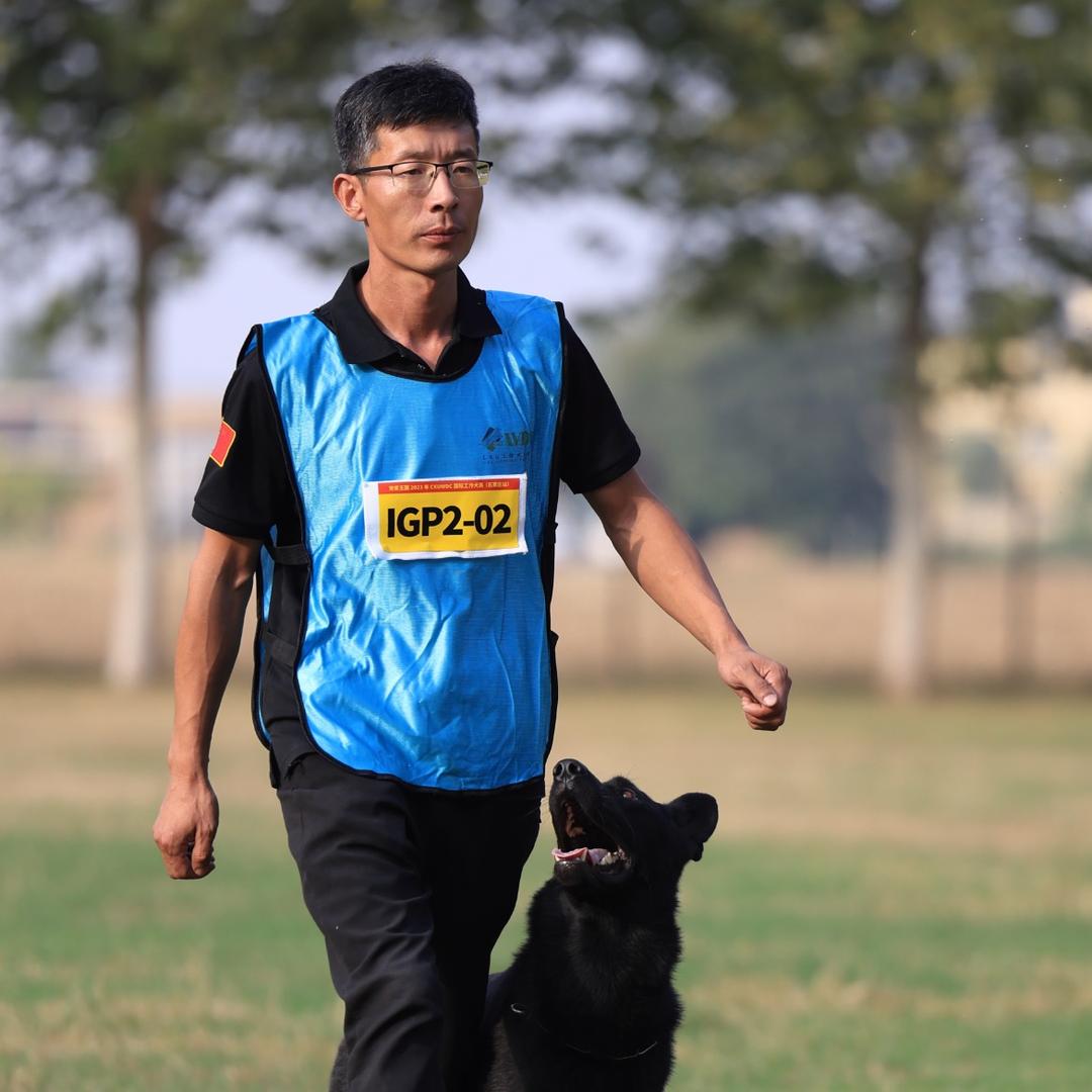 潍坊K9工作犬训练学校