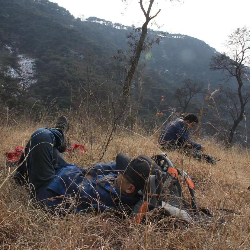 泰山石 驴长
