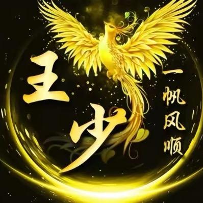 王大拿