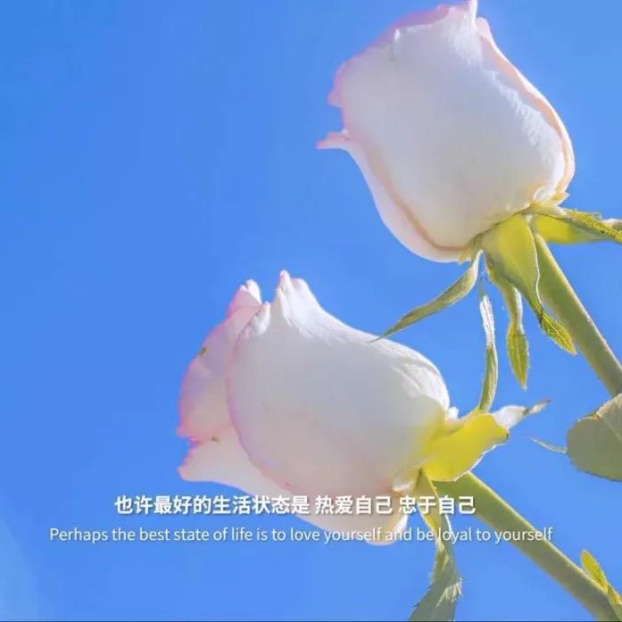 豆粒