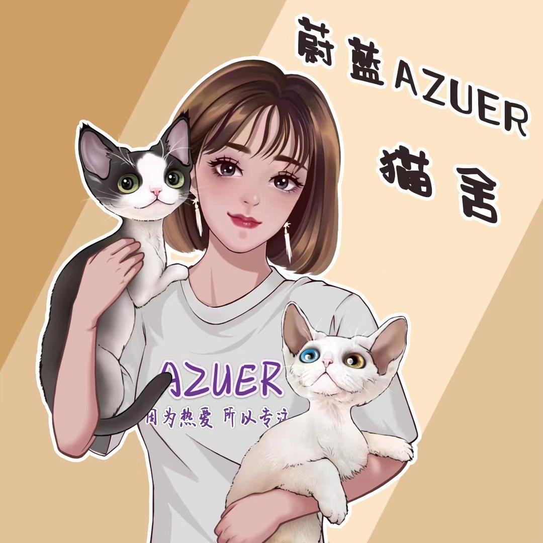 蔚蓝的德文猫-AA