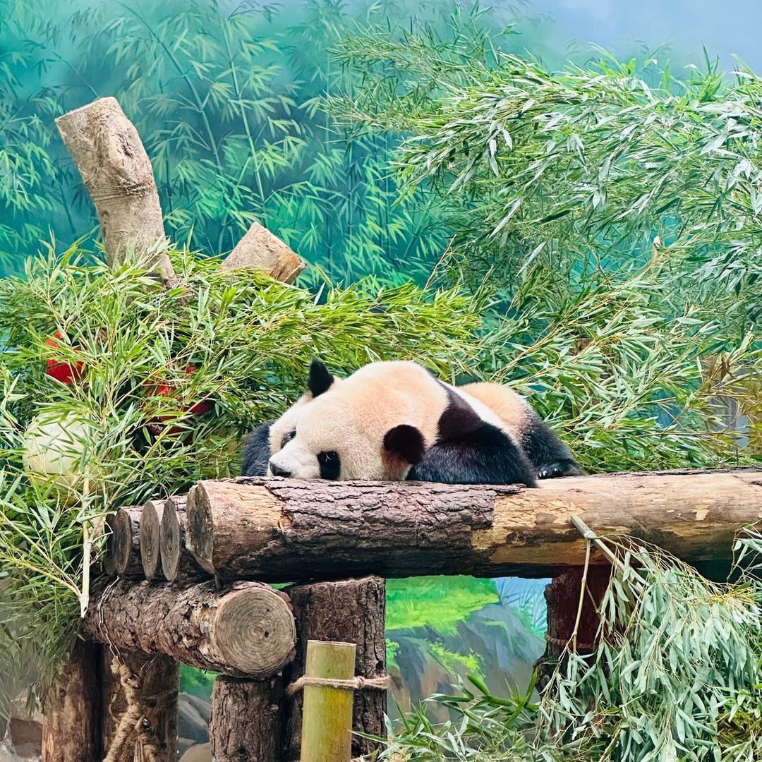 虹🌈