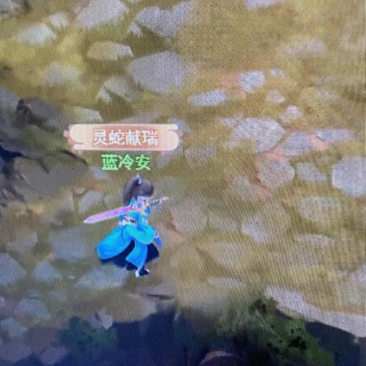 1512小陈
