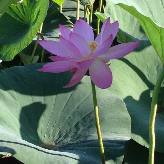 美美好物～