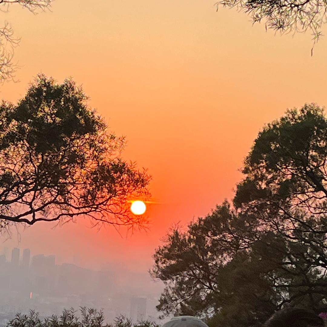 一吨赞（每赞0.01克）