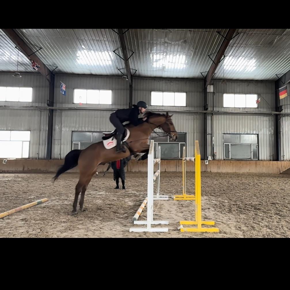 吉辉马术--小松