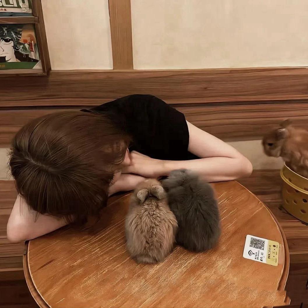 今天不熬夜了