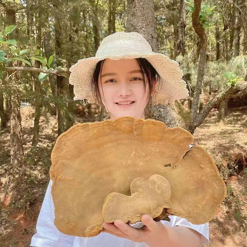 山宝阁2