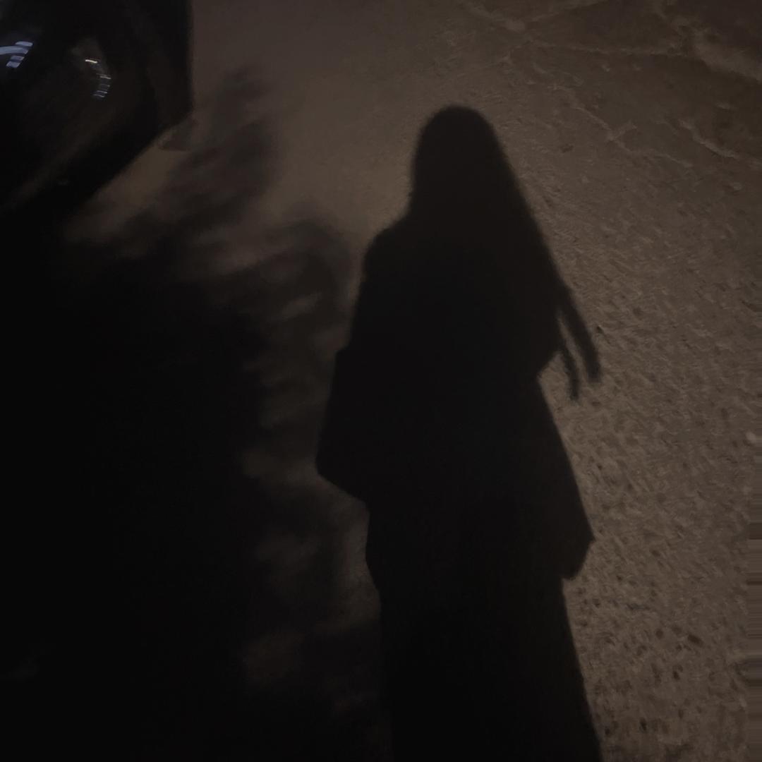 风起一场梦