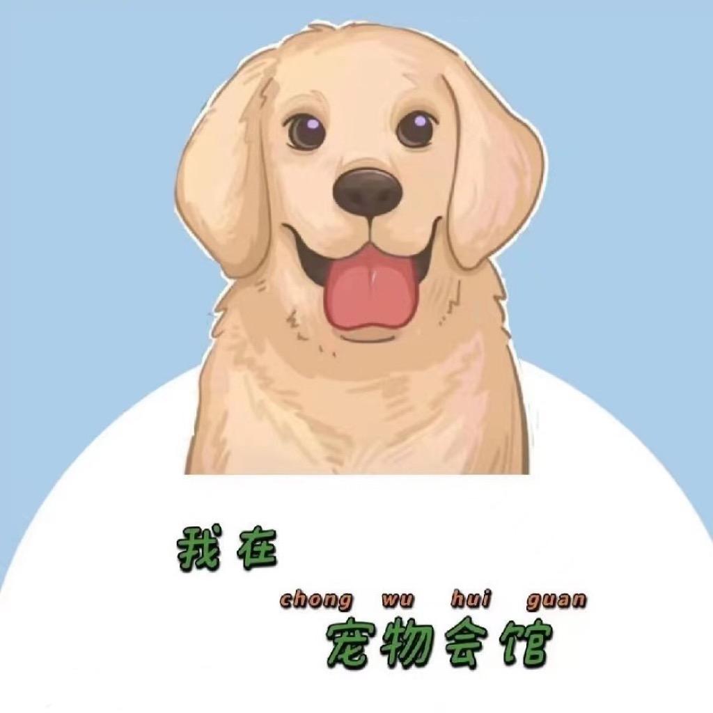 狗哥猫咪严选