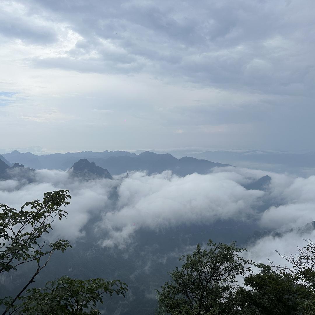 柒柒优选（工厂店）